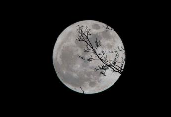 La Luna se formó con materiales de la Tierra, según estudio