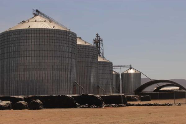 Bodegas siguen sin pagarle a productores