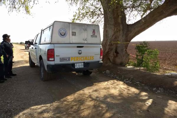 Encuentran restos óseos en Mocorito