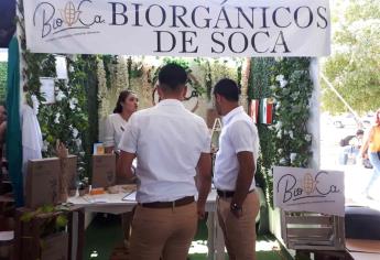 Realizan la XIV Expo Negocio en unidad Los Mochis de la UAS