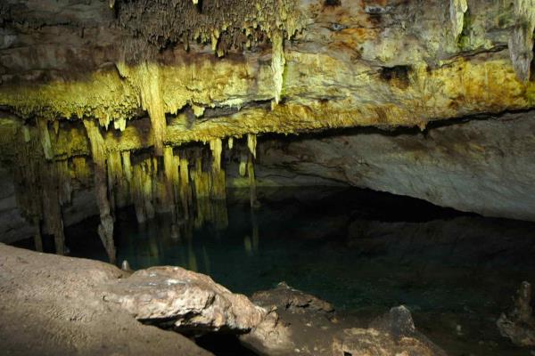 Espeleobuzos yucatecos rescatan 81 cenotes que utilizaban como basureros