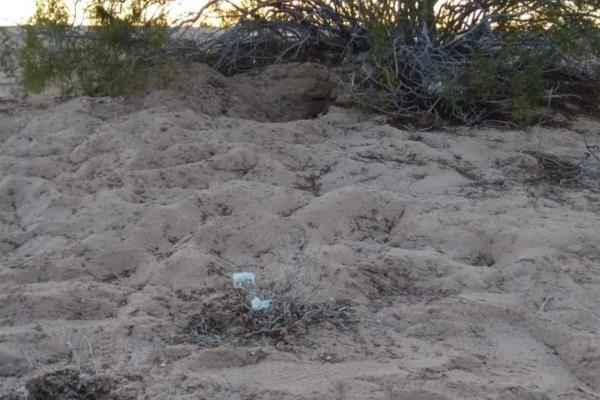 Detienen a responsable de muerte de niña de siete años en Sonora