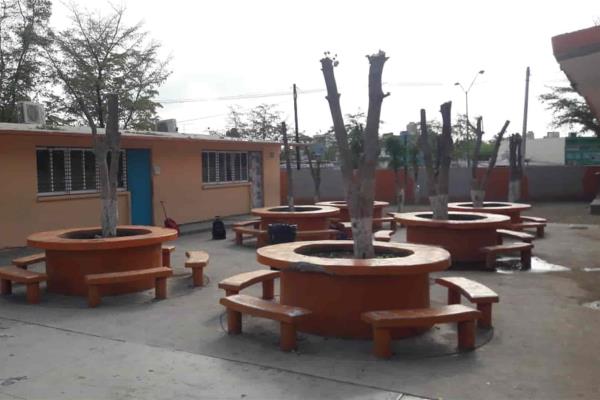 Consideran excesivo invertir $7 mil en tala, en escuela de Culiacán