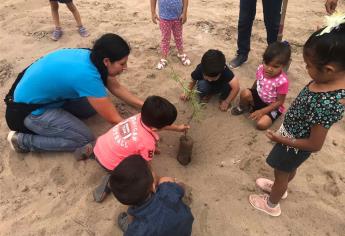 Invitan a “Adoptar un árbol” para embellecer espacios públicos