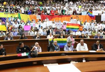 Espera Congreso resolución definitiva sobre el matrimonio igualitario: Domínguez