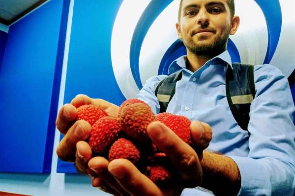 Sí es seguro comer lichis, aclara especialista