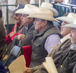 LuzNoticias_SubSeccionListado