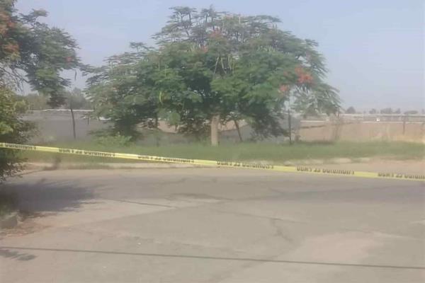 Hallan a mujer muerta en Culiacán; le dejan sapos atados al cuello