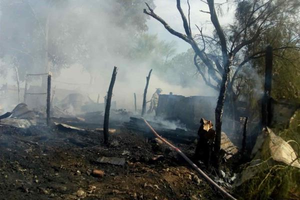 Incendio deja 19 cerdos muertos