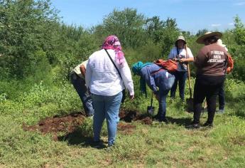 Rastreadoras de El Fuerte hallan restos humanos en cerro de Balácachi