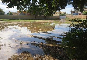 Solicitan a SEPyC cancha de pasto sintético en escuela primaria