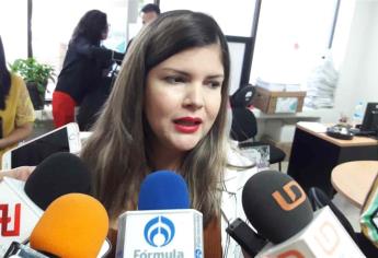 PEF 2020 priorizará programas sociales, seguridad y salud: Merary Villegas