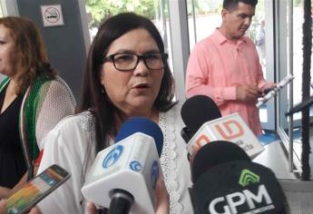No hay terrorismo fiscal contra empresarios: Imelda Castro