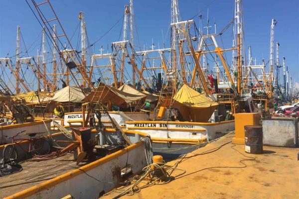Precio del diésel pone en riesgo la salida de la flota camaronera