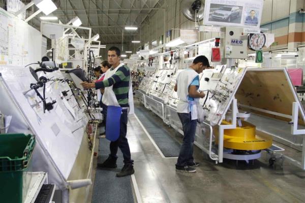 Tras pandemia, Sinaloa se recupera en empleos formales ante el IMSS