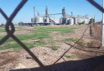 Productores siguen sin recibir pago de Multigranos