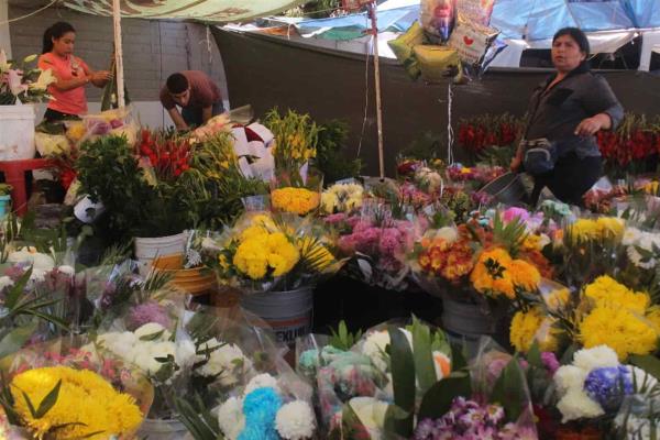 Con fe y esperanza, floristas locales este Día de Muertos