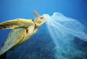 En riesgo alimentación de millones por contaminación de mares