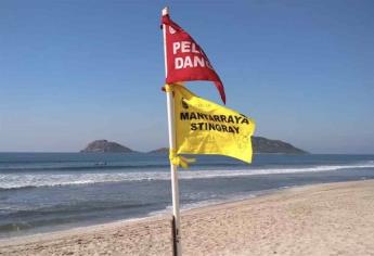 Alertan sobre inicio de temporada de mantarrayas en las playas