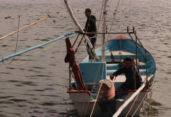 Piden el rescate urgente de la pesca de bahía para este 2020