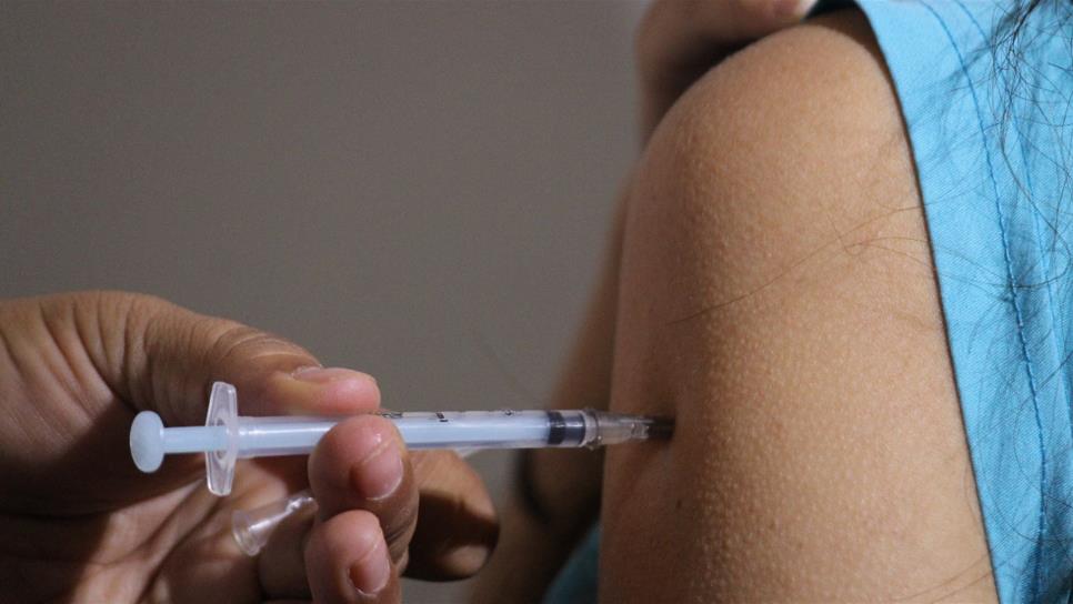 Descubren antibióticos para tratar demencia temporal Descubren antibióticos para tratar demencia temporal