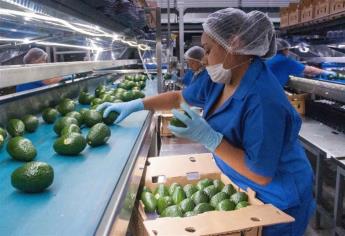 Producción mundial de alimentos debe crecer 60 % para el 2050: CNA