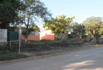 Arranca Ayuntamiento trabajos de poda en áreas verdes en Mazatlán