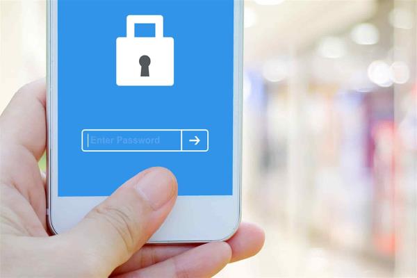 Datos personales, una divisa en era la digital: comisionado