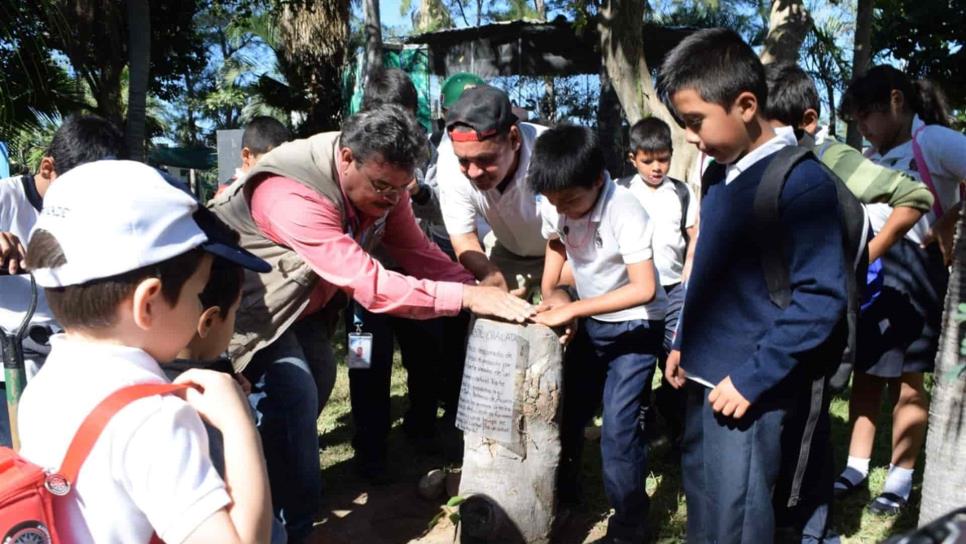 Celebra Acuario Mazatlán “Día Mundial de la Educación Ambiental”