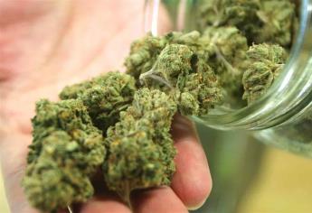 Sólo comercios especializados podrán vender mariguana: Zamora