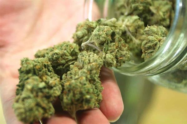 Sólo comercios especializados podrán vender mariguana: Zamora