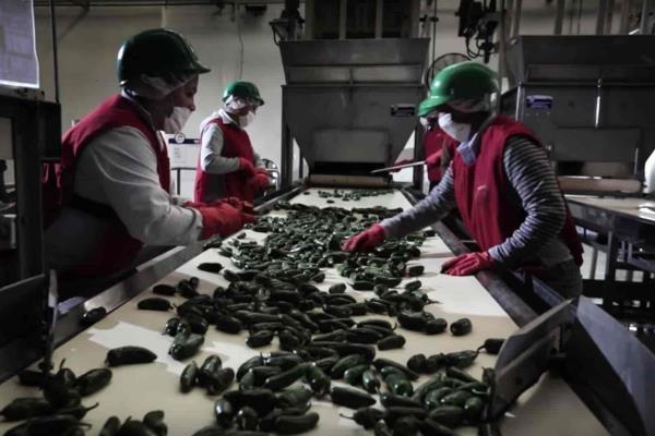 Multas a empresas o patrones que no paguen utilidades podrían ser hasta de $135 mil