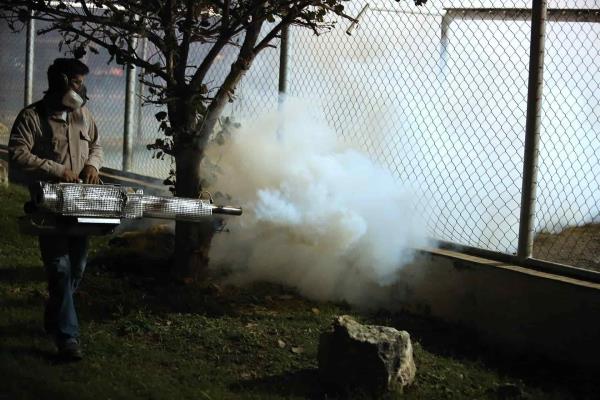 Trabaja SSA en fumigación contra el dengue