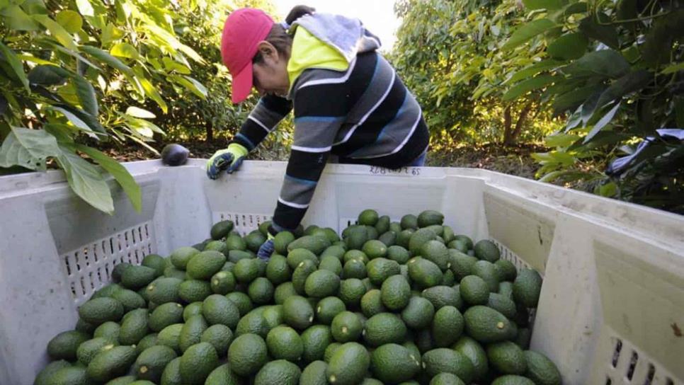 Balanza comercial agroalimentaria con el saldo más alto de la historia