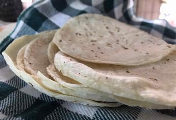 Que no subirá el precio de la tortilla en Sinaloa ante Covid-19, aseguran