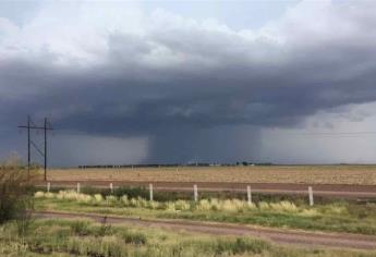 Lluvias ahorran primeros riegos