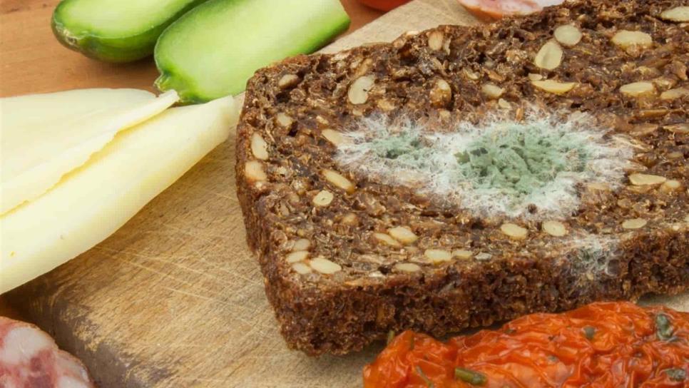 Desarrollan dispositivo para detectar bacterias en alimentos