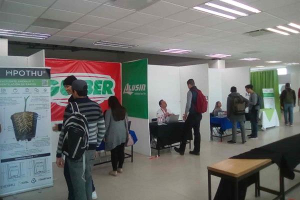 Ofertarán 239 vacantes en Feria del Empleo en Los Mochis