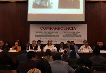 En comparecencia, diputados piden se aclare el estatus zoosanitario