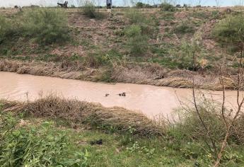 Localizan un ejecutado al norte de Guasave