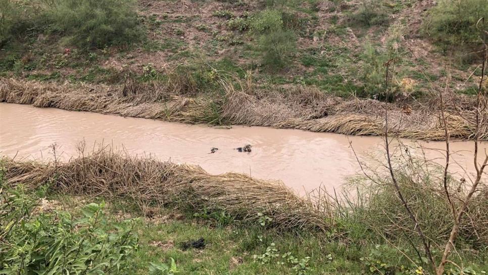 Localizan un ejecutado al norte de Guasave