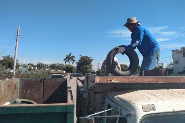 Confirma sector Salud tres casos de dengue en Ahome