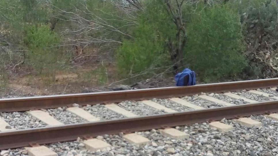 Muere otro “trampa” al caer del tren en El Fuerte