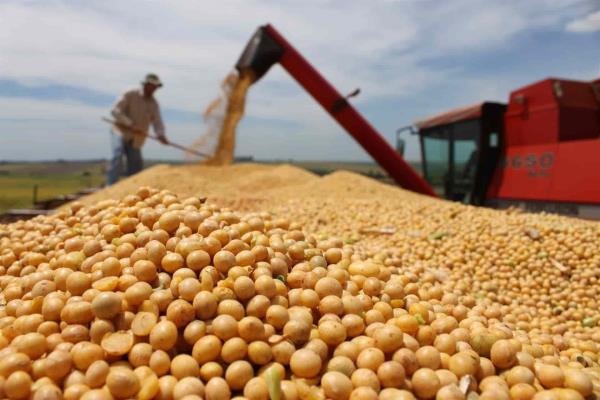 Pedirá Sinaloa «prestada» agua a Nayarit para sembrar 400 mil hectáreas de soya