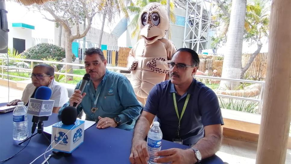 Va Acuario Mazatlán por conservación del Golfo de California