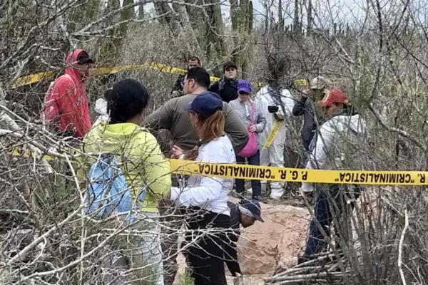 Rastreadoras localizan seis cuerpos en Juan José Ríos