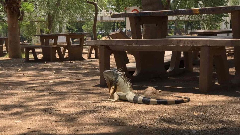 Parque Las Riberas seguirá abierto, pese a coronavirus