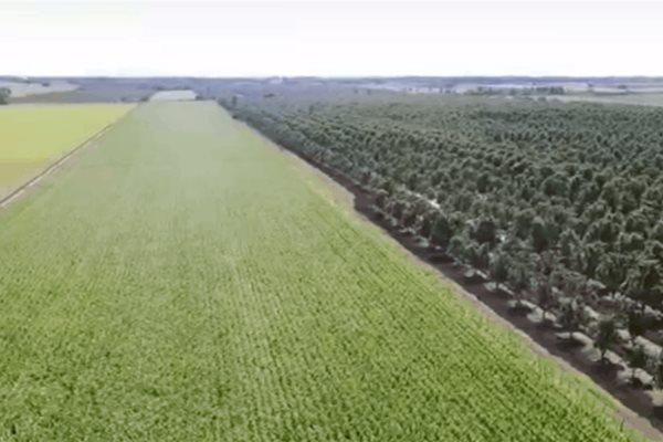 El 100% de los productores podrán adquirir coberturas: FND