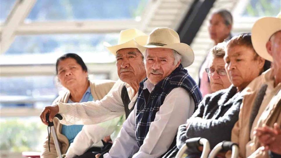 Cientos de adultos mayores siguen en las calles pese a contingencia Cientos de adultos mayores siguen en las calles pese a contingencia