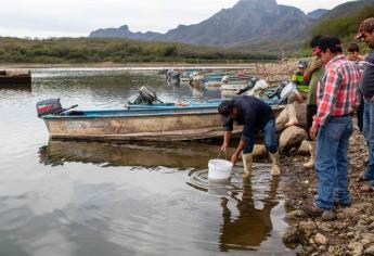 Diputado confía que a nivel federal adecuarán el paquete económico 2021 para la agricultura